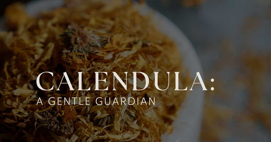 Skincare Benefits of Calendula: A Gentle Guardian for Delicate Skin