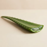 Organic aloe