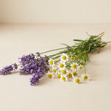 Lavender & chamomile (Baby Powder, Bath Pouches)