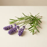 Lavender & organic rosemary