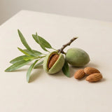 Organic sweet almond oil